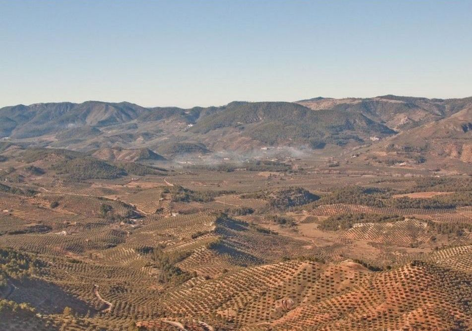 Lomas sinuosas, cultivos y campos de olivar confeccionan el paisaje desde el Castillo de Segura de la Sierra.