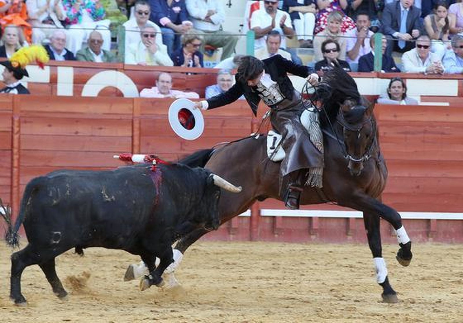 Fermín Bohórquez Domecq, con una muleta, mostrando las cualidades de ‘Pajarero’ para obtener su indulto.  Foto: Miguel Ángel González