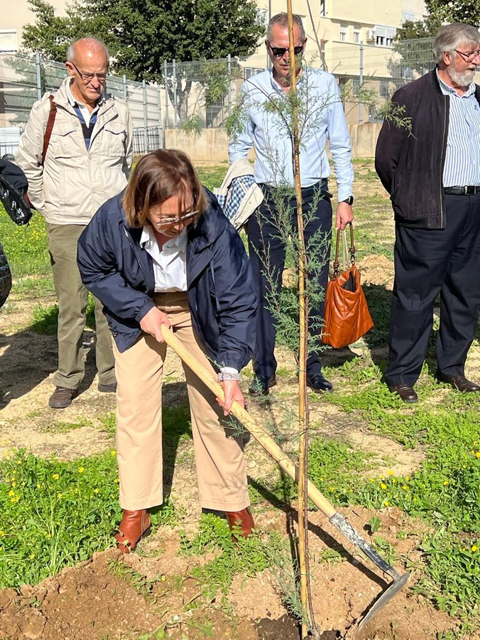 Plantación del Bosque de la Alegría en el IES Jorge Juan de San Fernando.