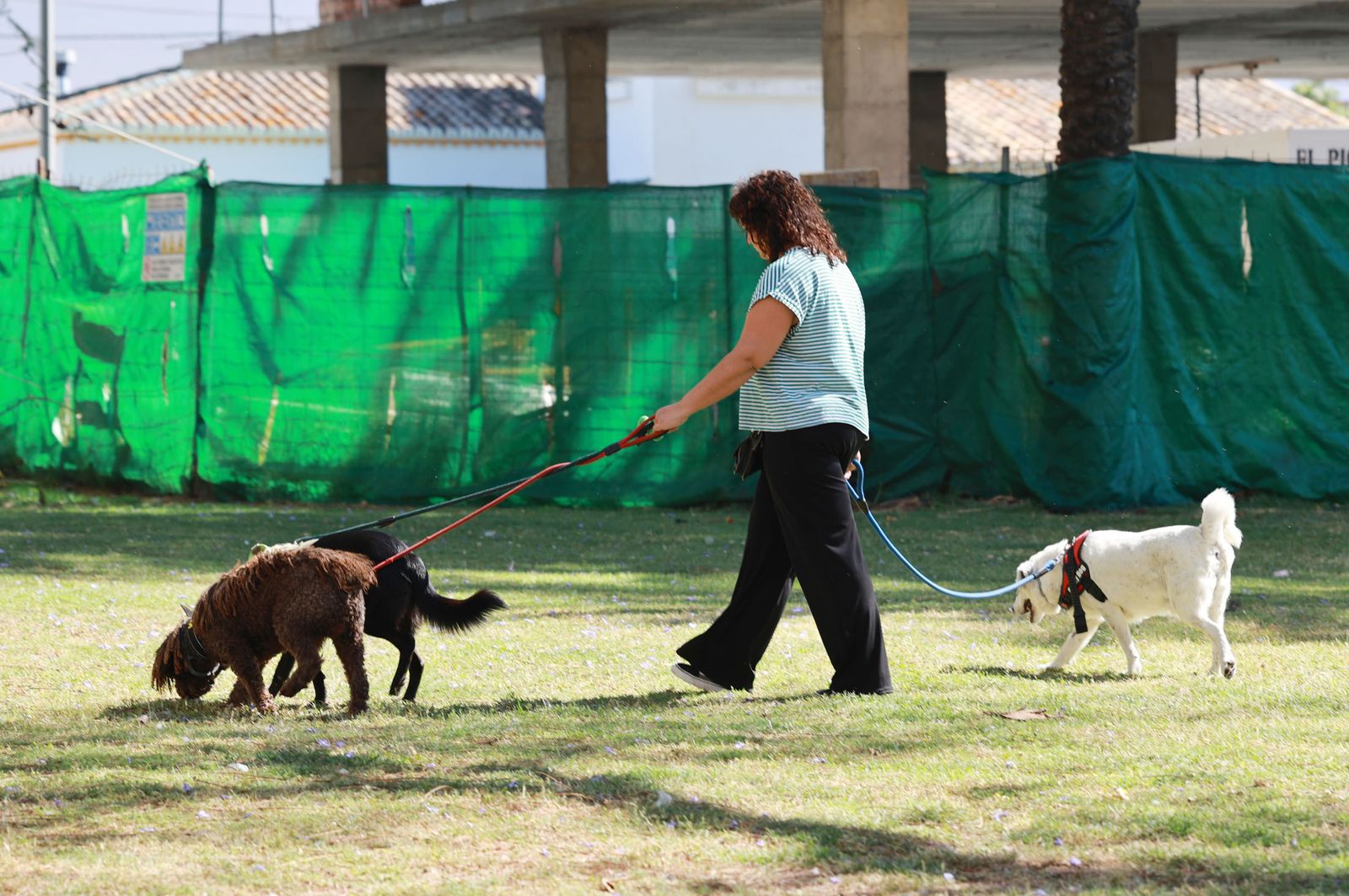 Imágenes del sábado 11 de mayo en Huelva