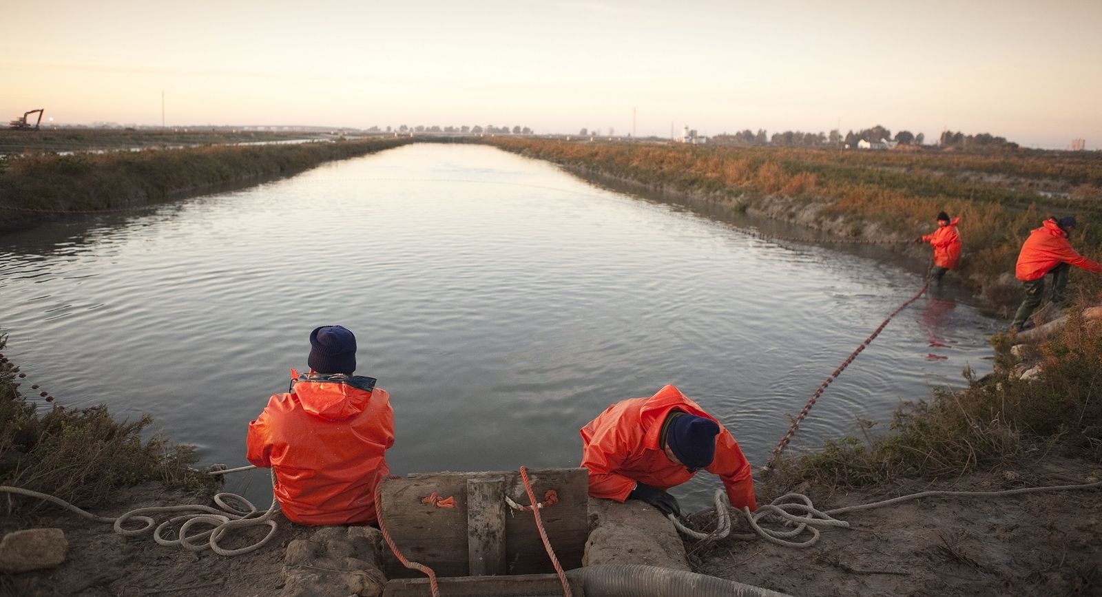 Trabajadores en unos esteros de la Bahía de Cádiz.