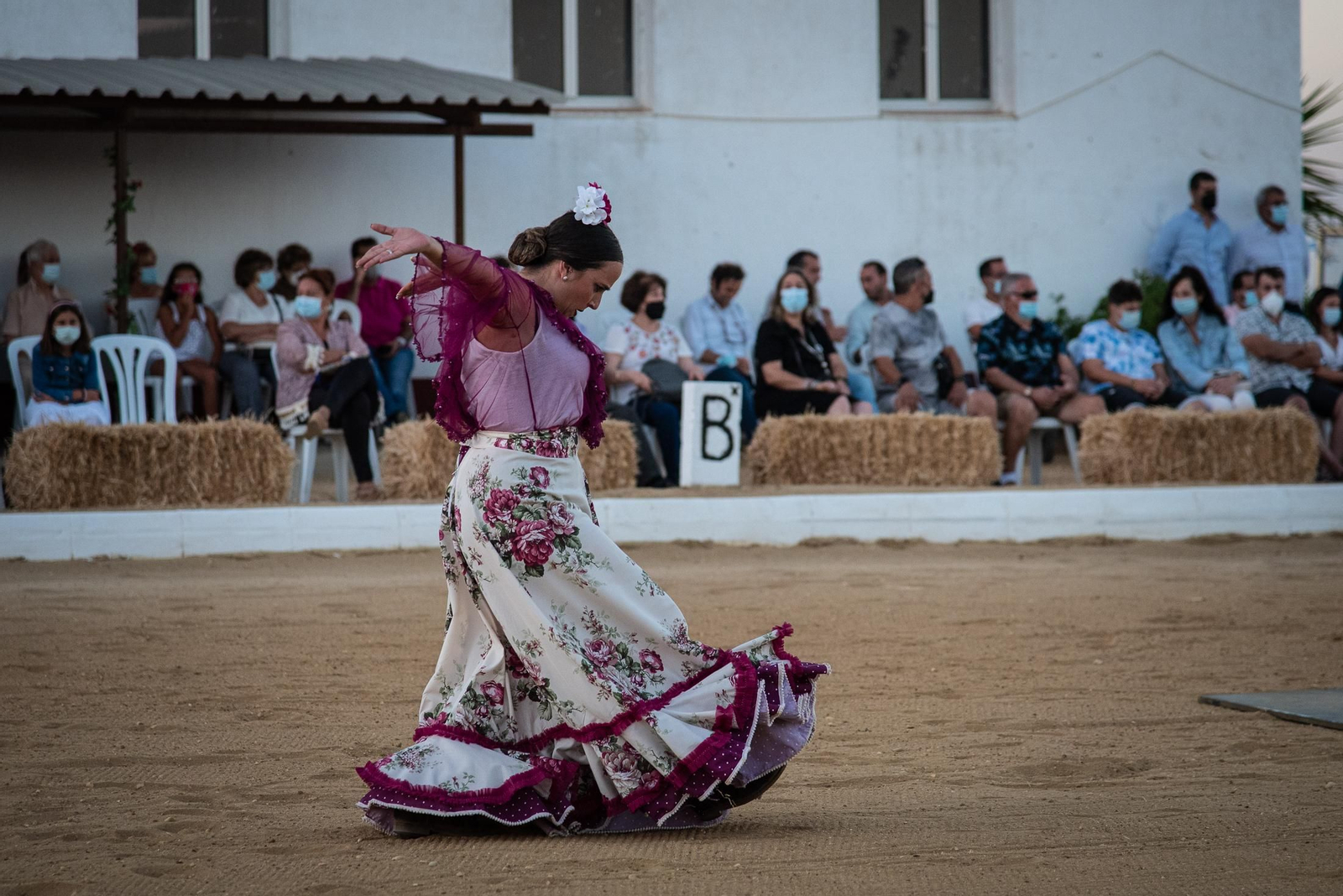 El espectáculo Flamencab en imágenes