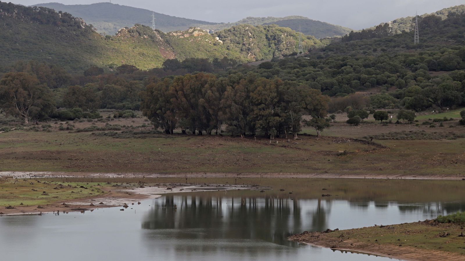 Fotos del pantano de Charco Redondo en Los Barrios