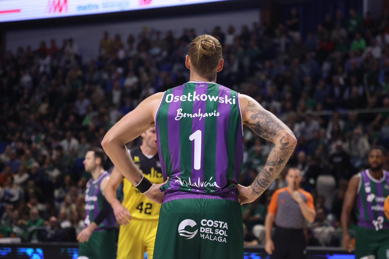 Osetkowski, esta temporada.