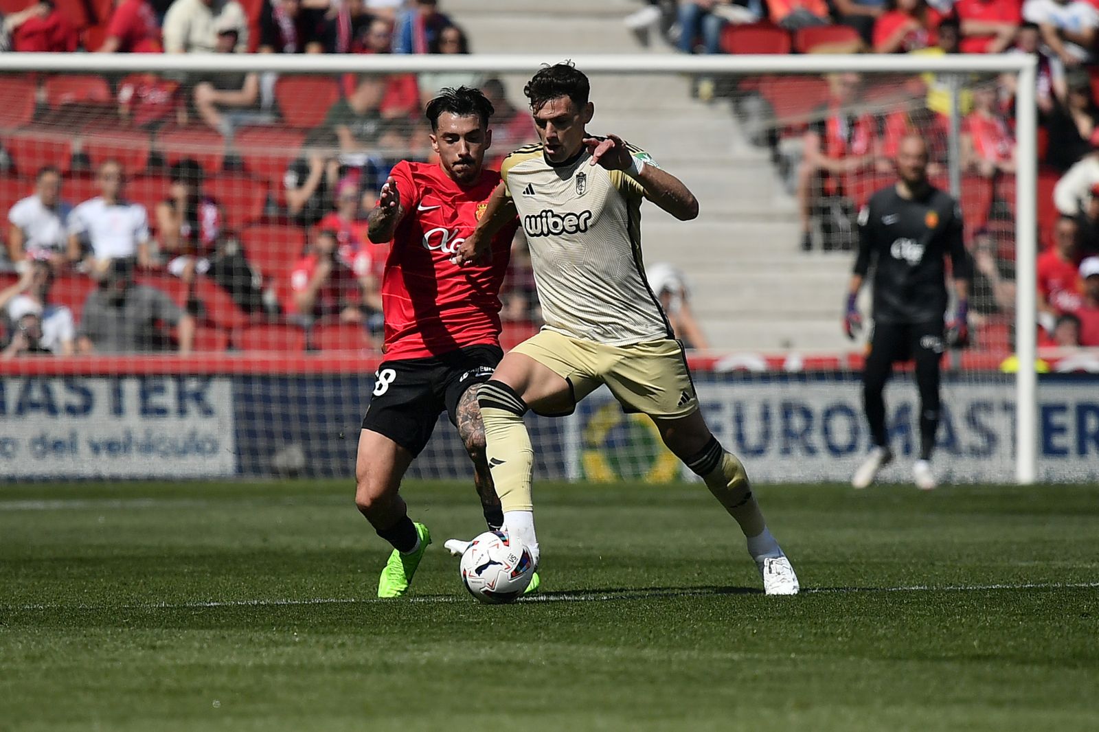 Las mejores imágenes del RCD Mallorca - Granada CF