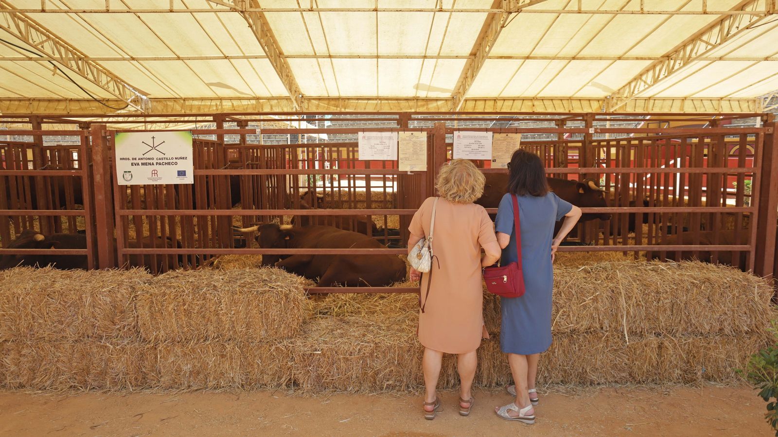 Fotos de la inauguración de la 171 Feria del Ganado de Algeciras