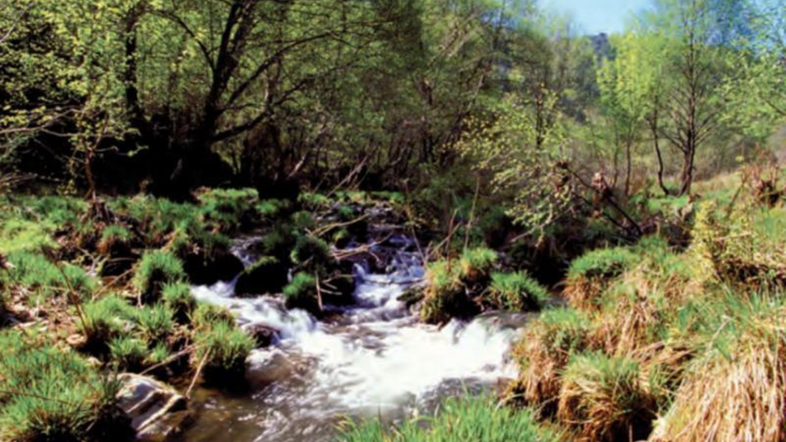 Rivera del Hueznar - Cazalla de la Sierra