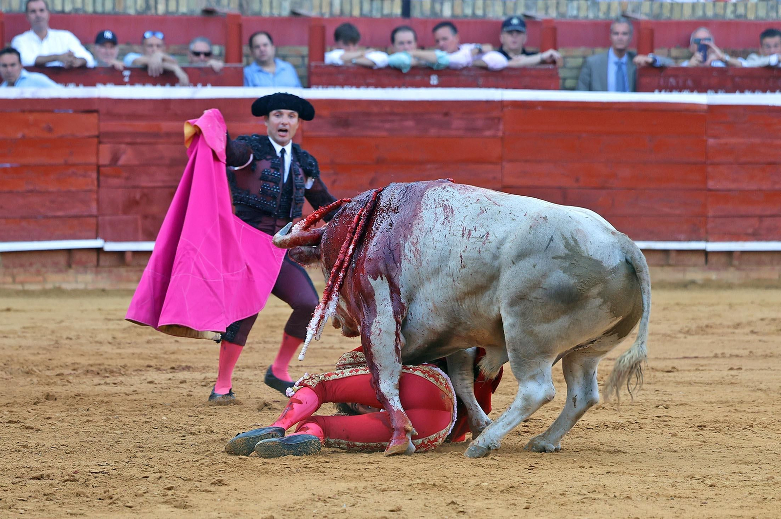 Toros La Merced: Imágenes de la corrida de David de Miranda, Roca Rey y Manzanare