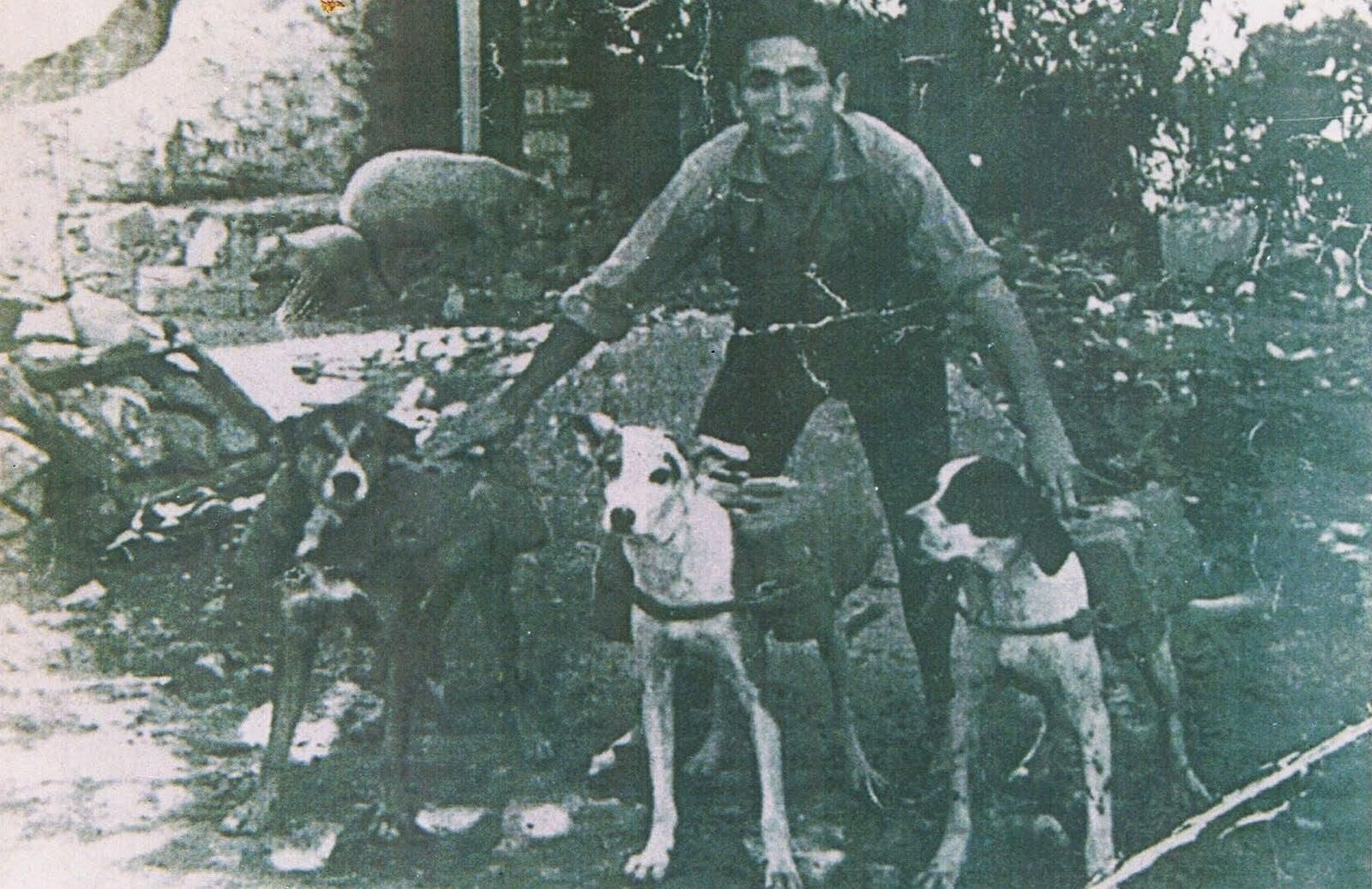 Perros usados para el cotrabando.