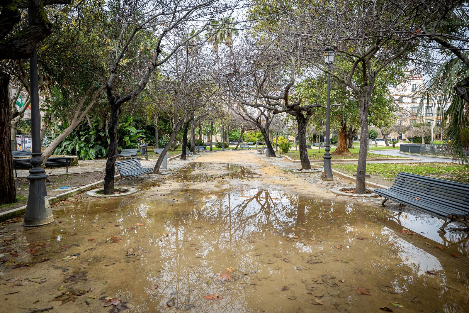 Las imágenes del mal estado de la Plaza de España en Cádiz