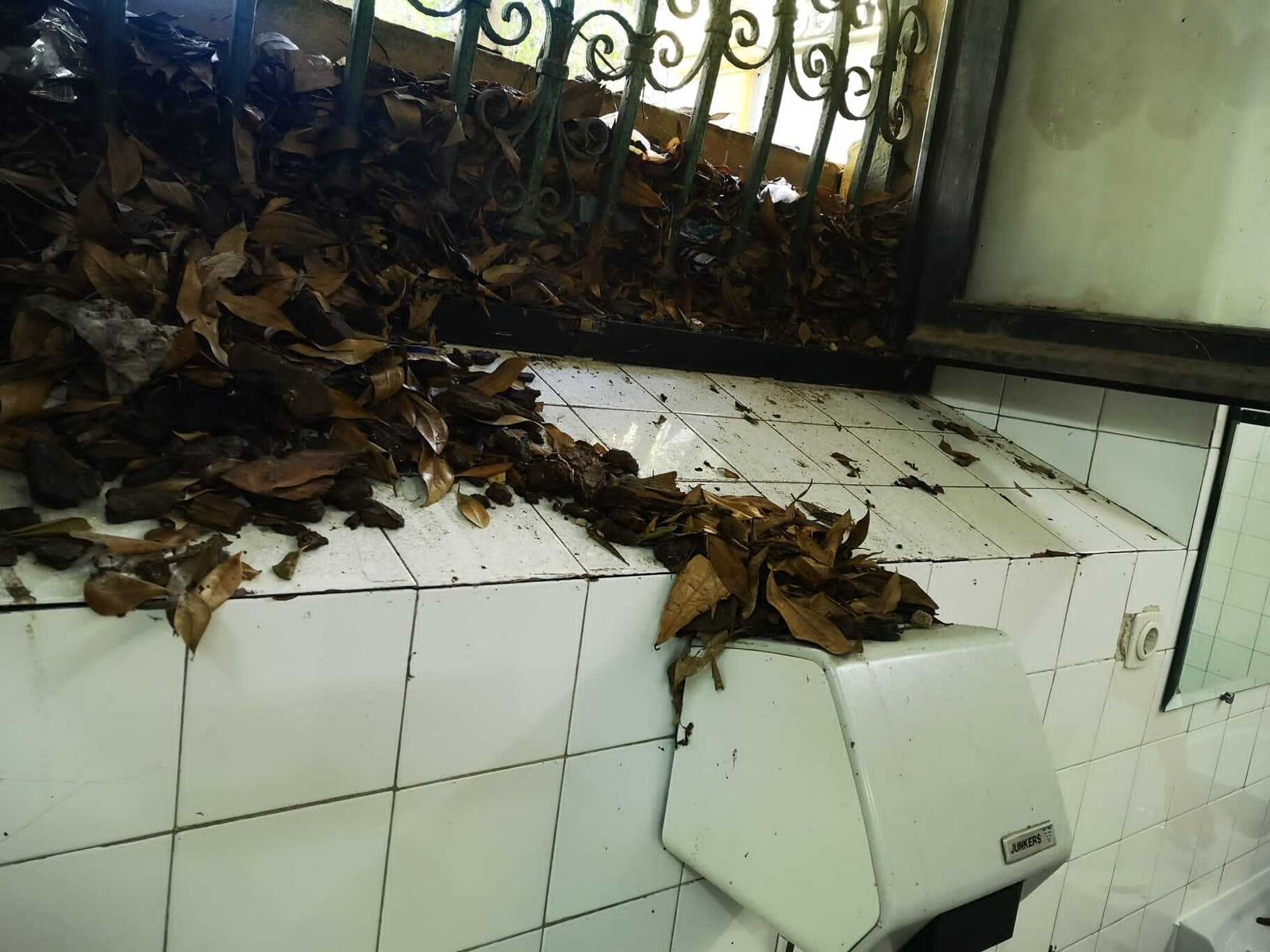 El deprorable estado del teatro Lope de Vega.