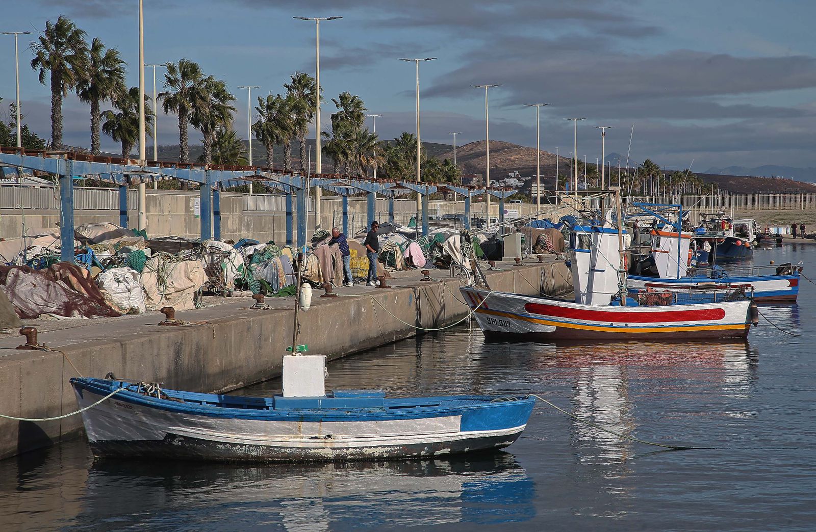 El puerto pesquero de La Línea, en imágenes