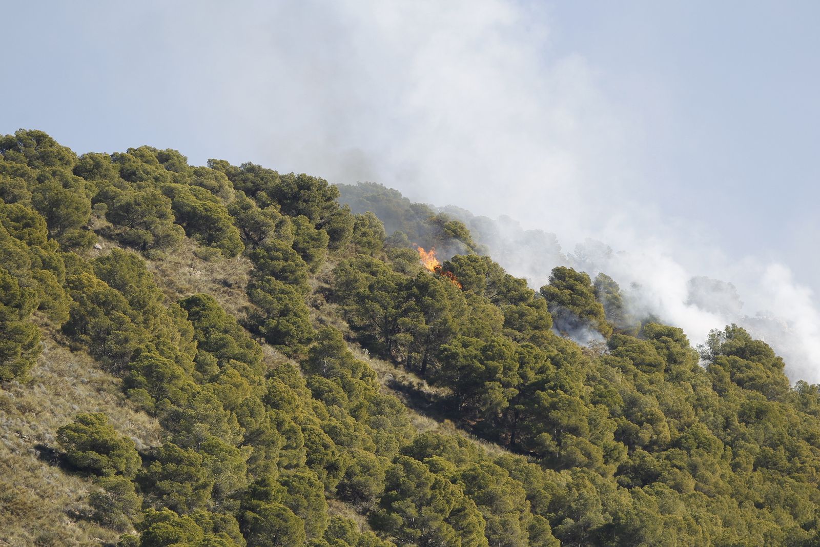 Fotogalería incendio forestal de Castala, Berja y Dalías.