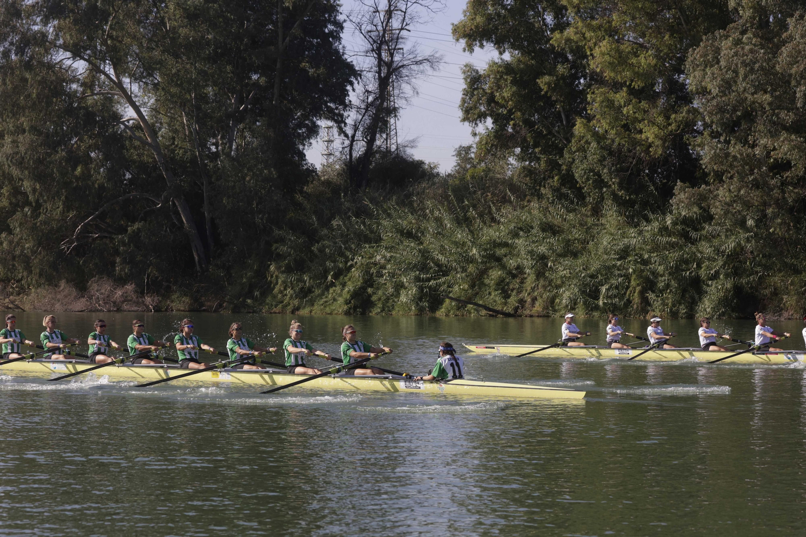 La Regata Sevilla-Betis femenina en imágenes