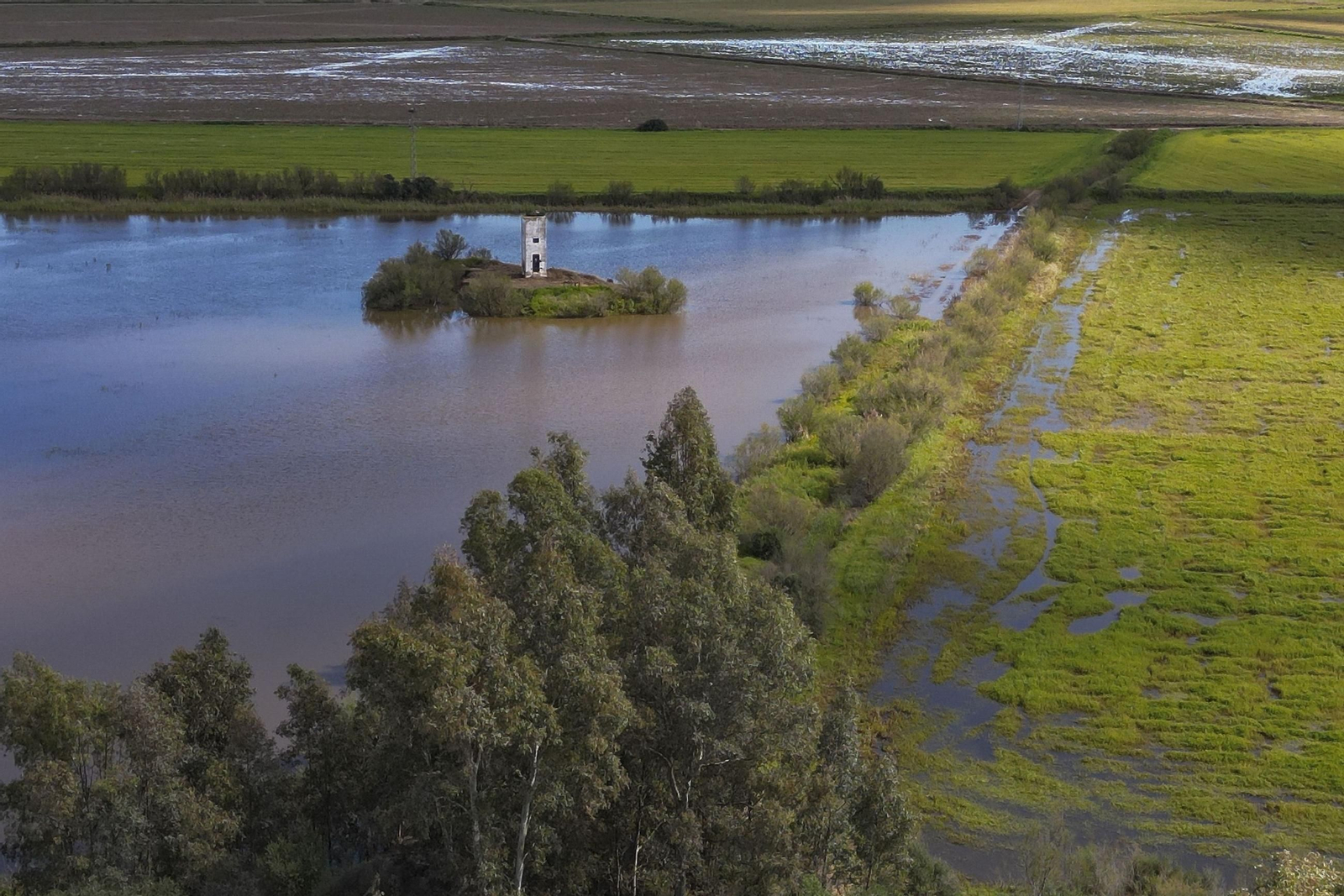 Una de las lagunas de Doñana.