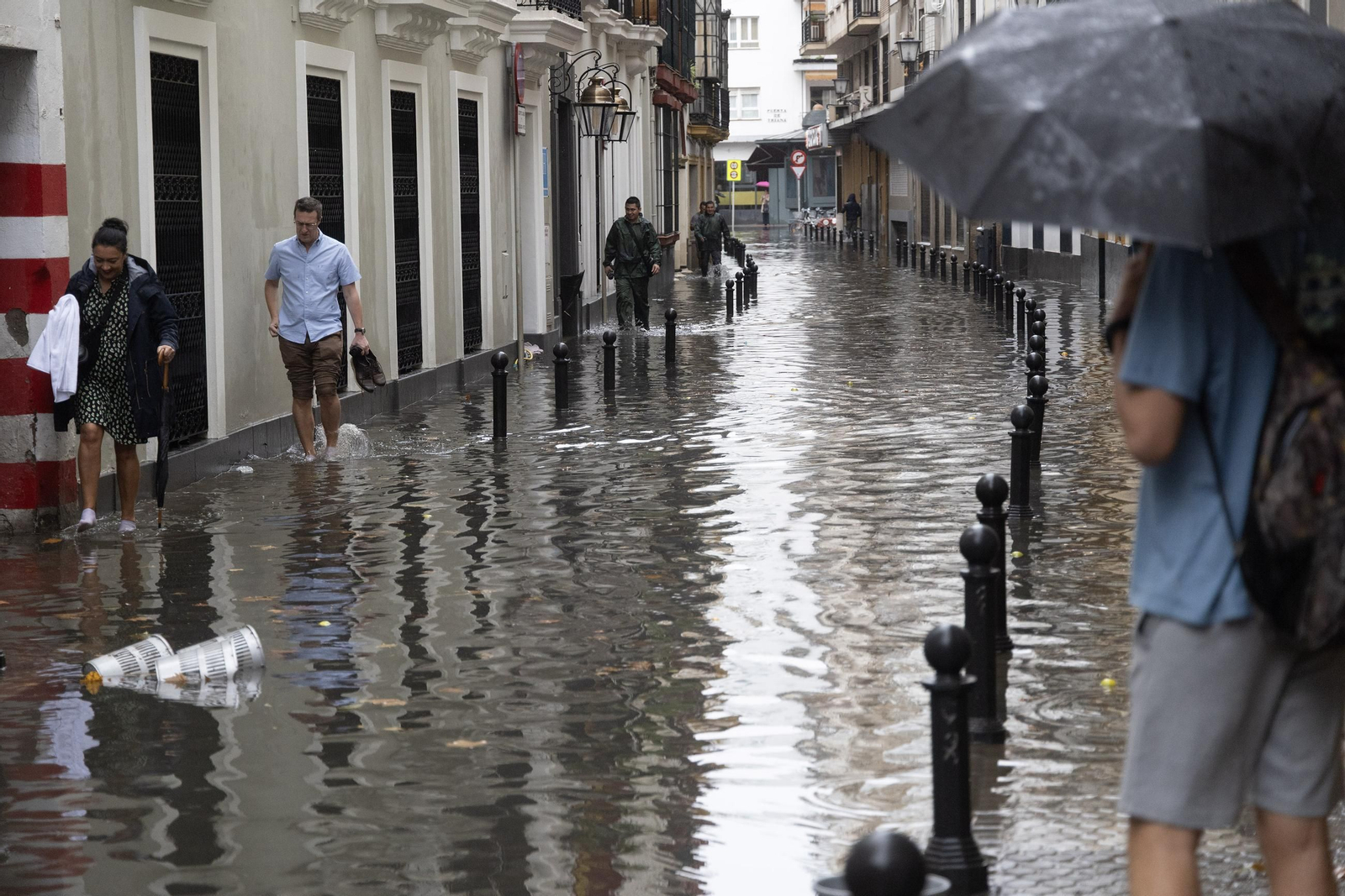El centro de Sevilla anegado, todas las fotos.
