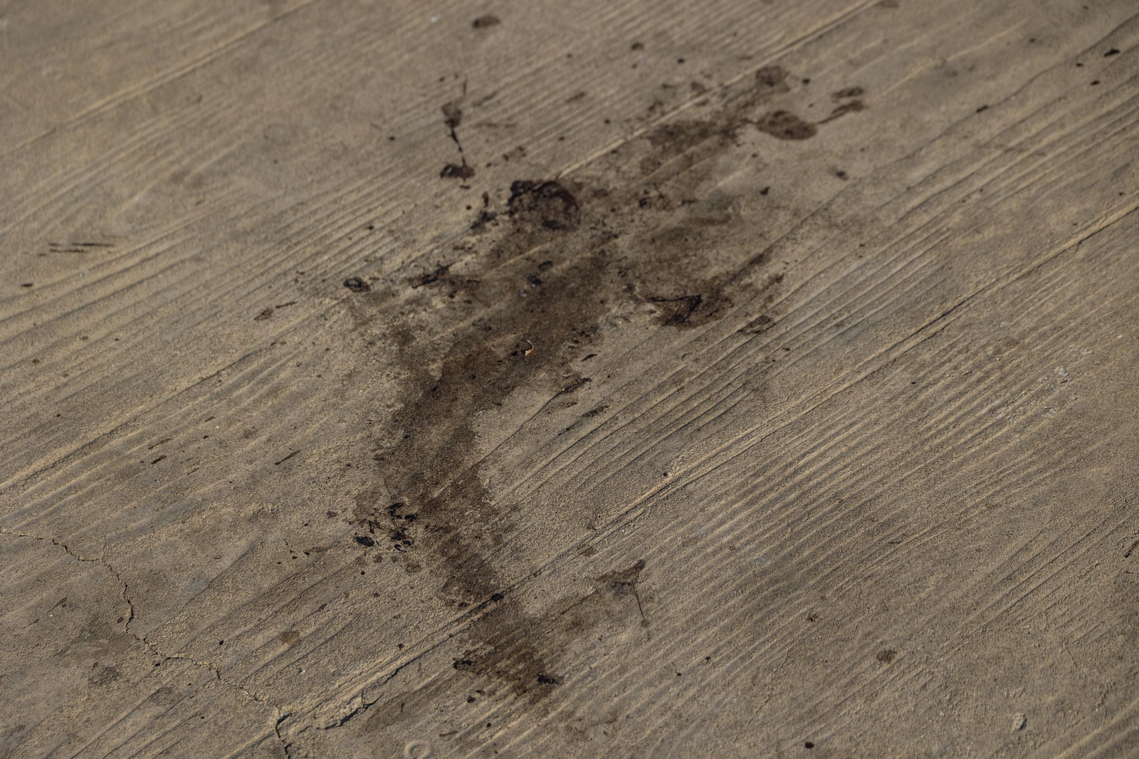 Las imágenes del mal estado de los paseos de Cádiz