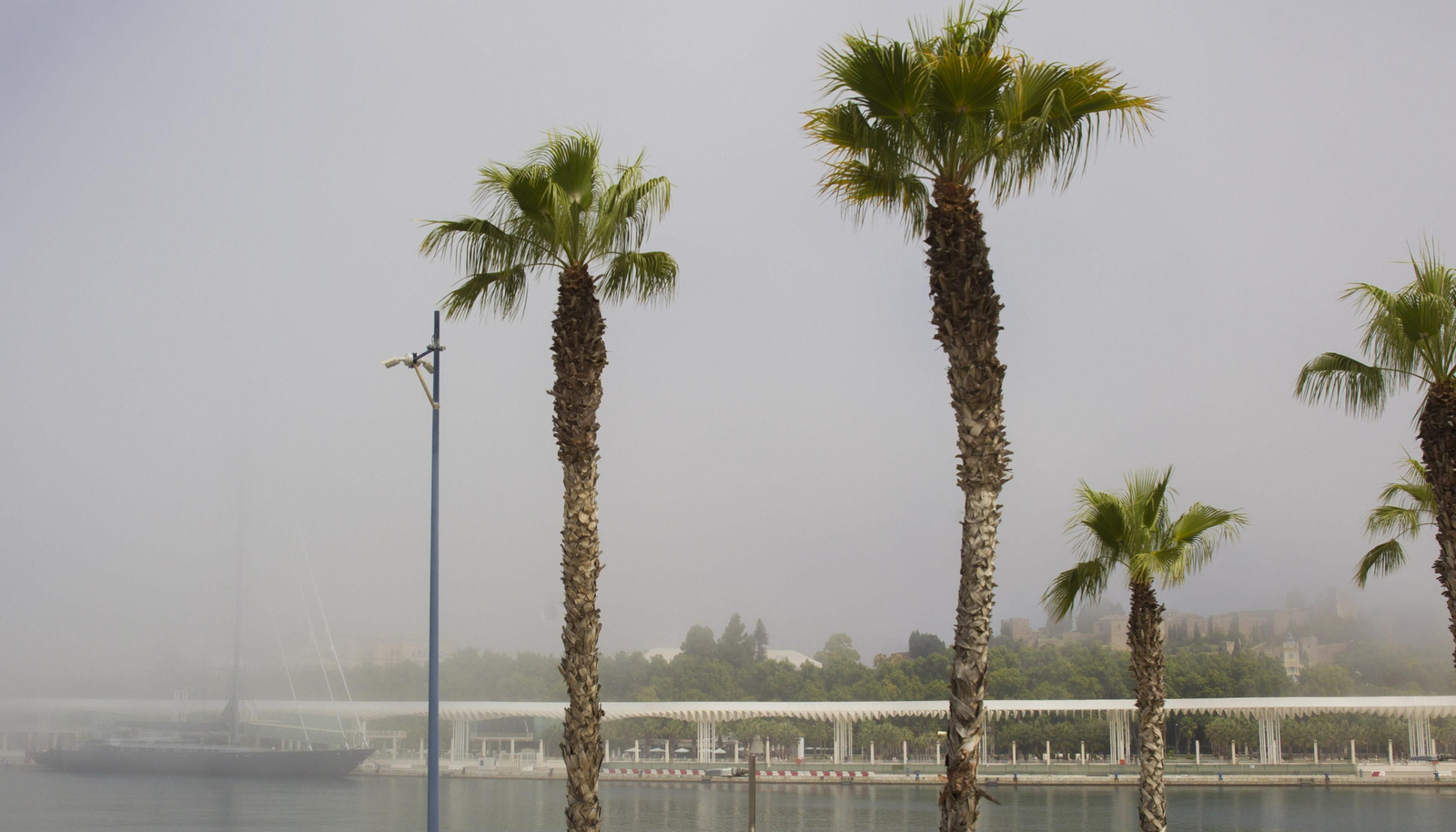 El taró provoca la prohibición del baño en las playas de Málaga, en imágenes