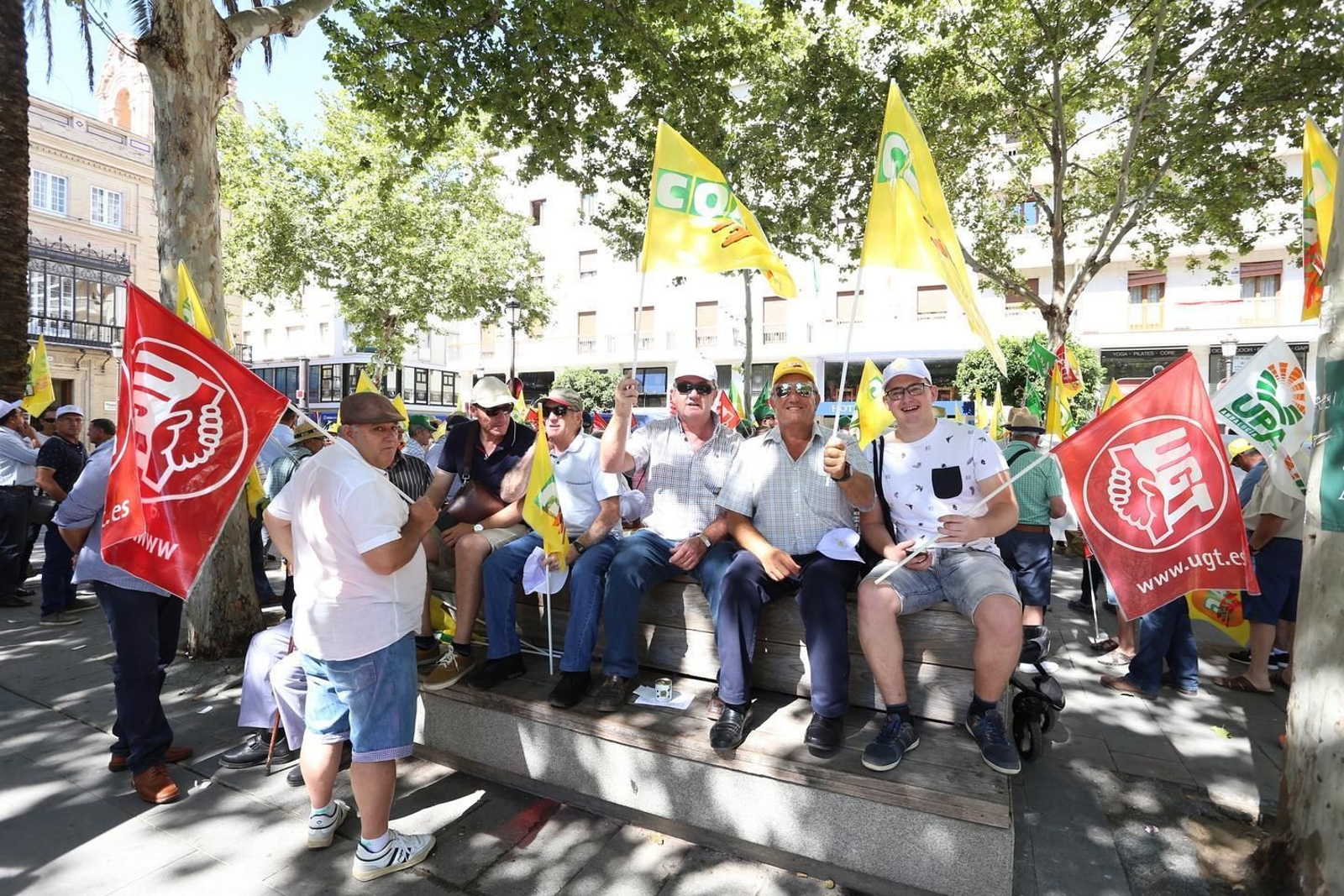 Manifestación en Sevilla en defensa de la aceituna negra