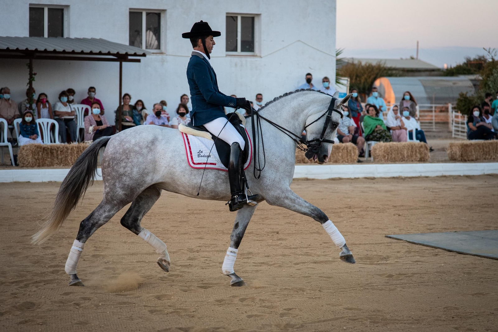 El espectáculo Flamencab en imágenes