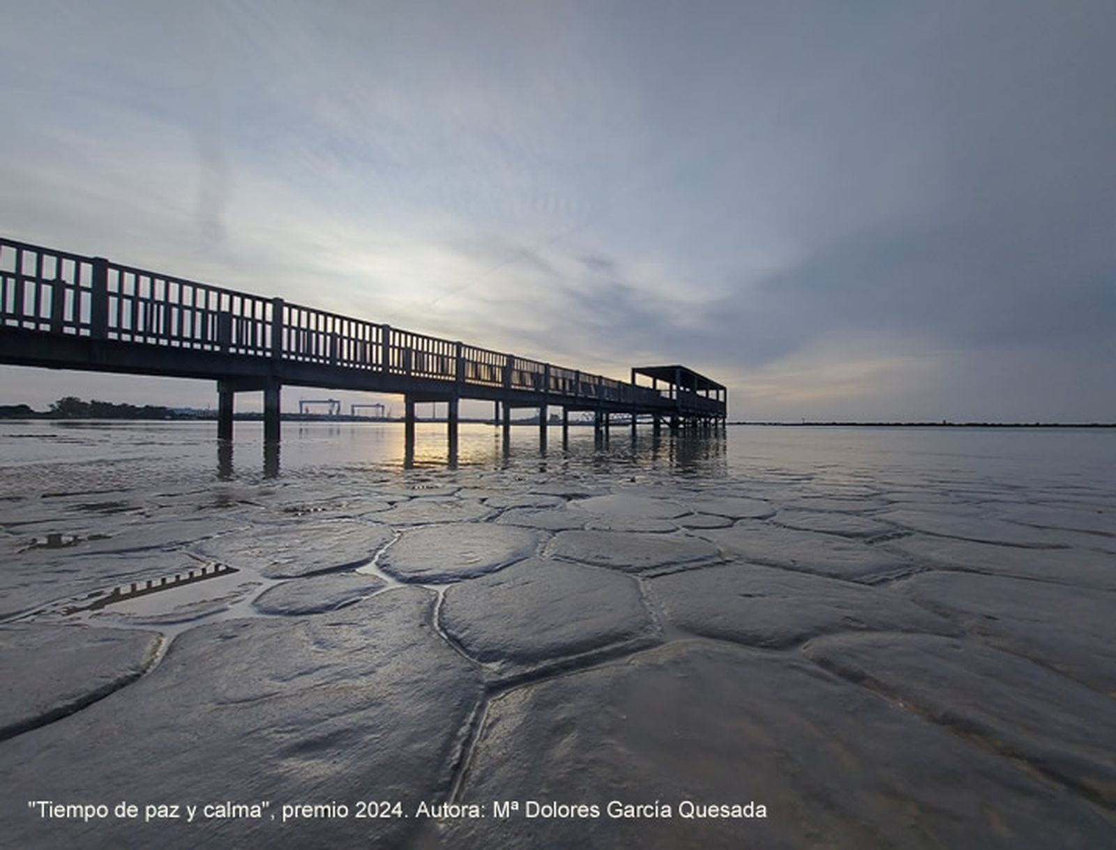 Tiempo de paz y calma, imagen ganadora del pasado año