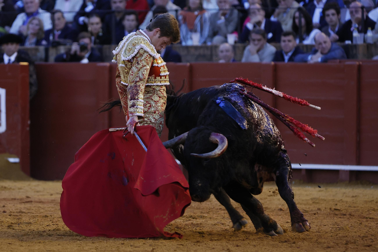 Las imágenes del festejo