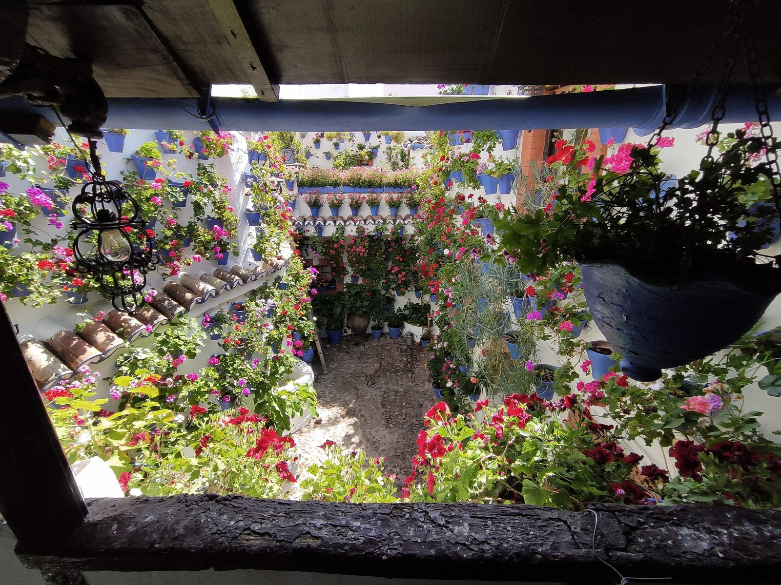 Las fotos de los Patios de Córdoba en tiempos de crisis: Postrera, 28