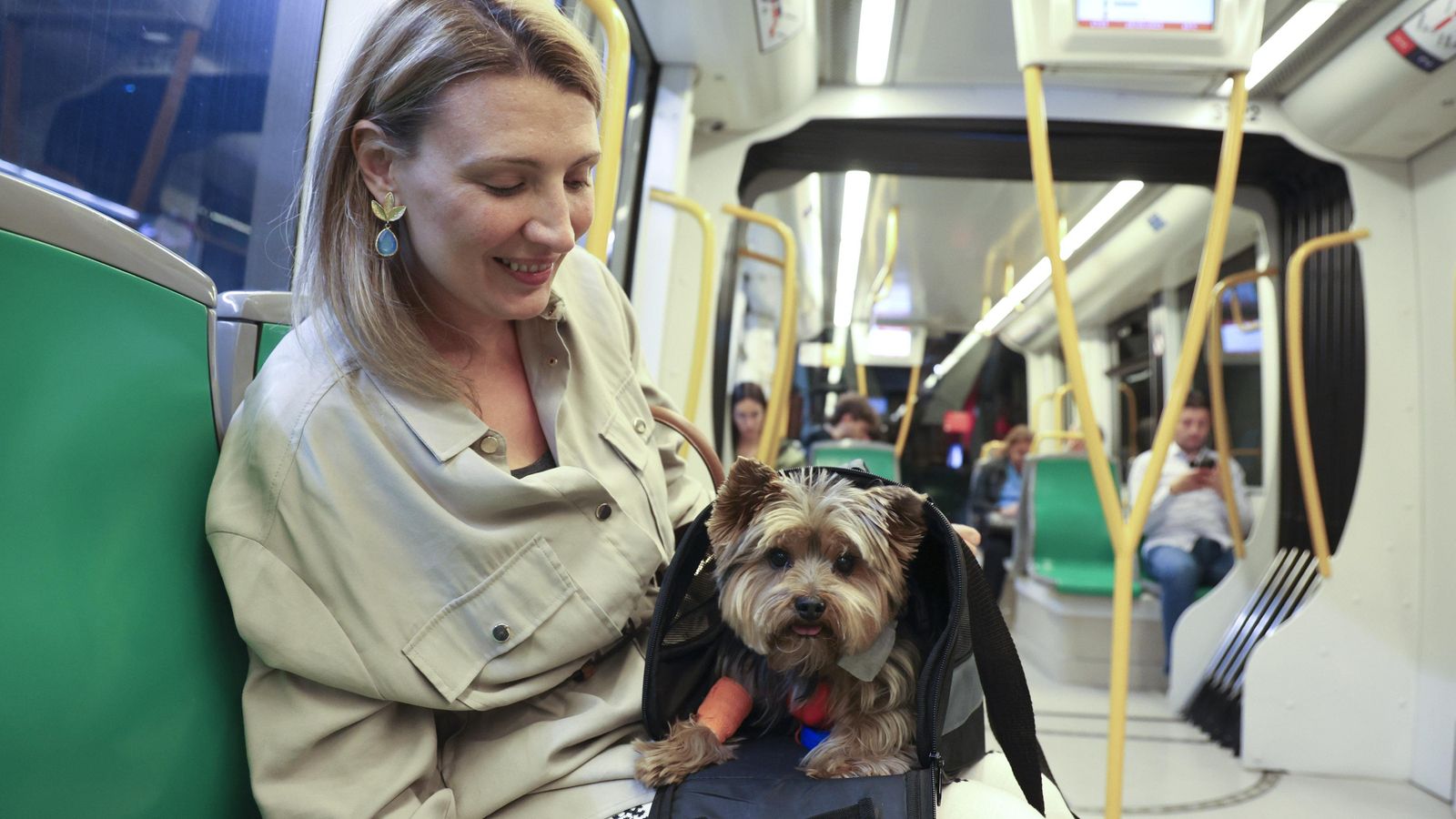 La diversidad del pasaje es ciertamente amplia.