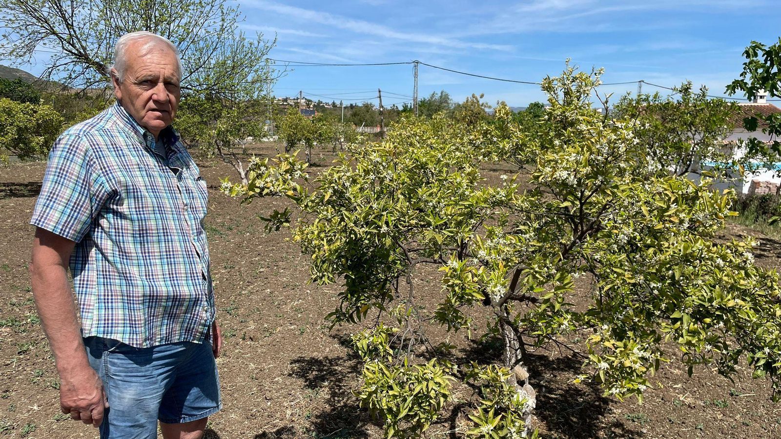 Agustín García, agricultor del Valle del Guadalhorce.