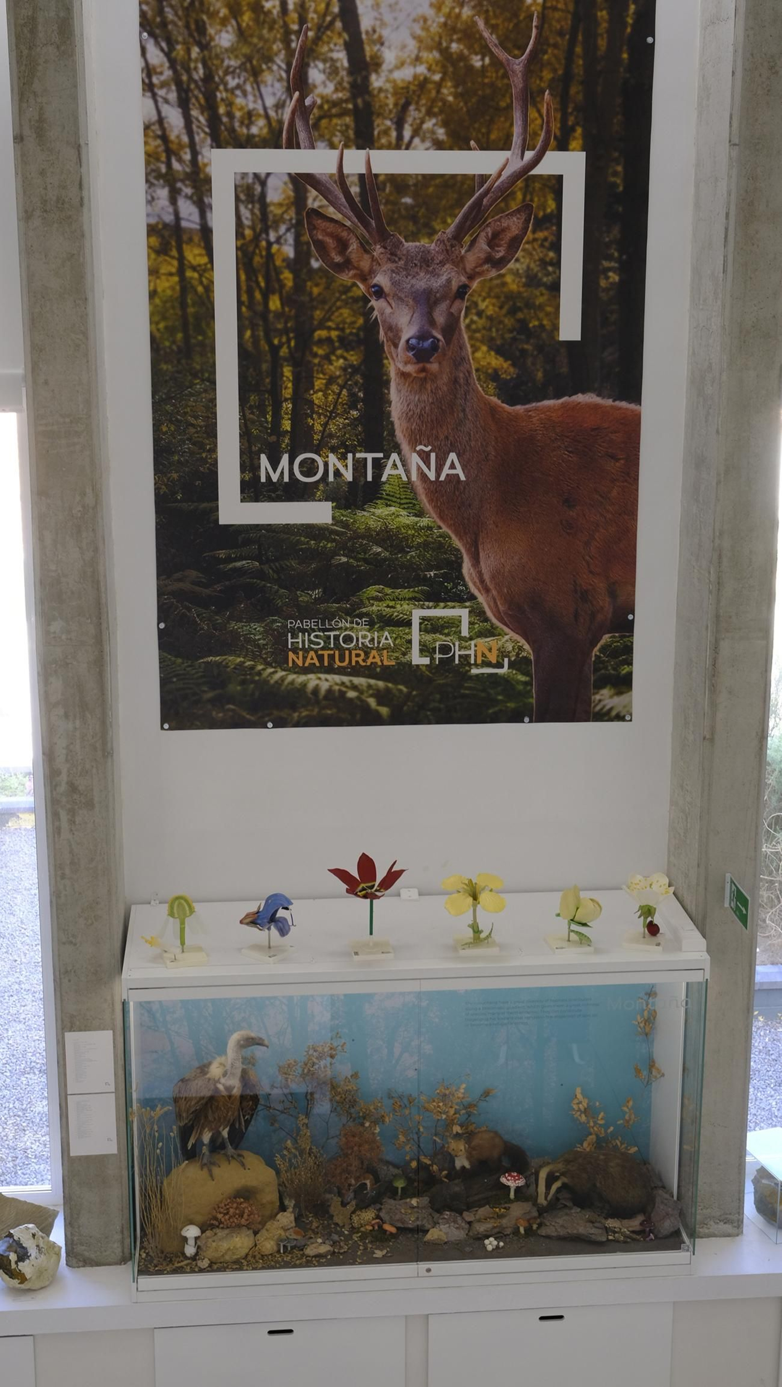 Descubre en estas fotos las maravillas que esconde el Pabellón de Historia Natural de la UAL