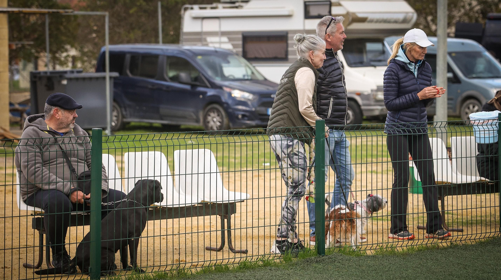 Habilidad canina en la prueba puntuable para el Campeonato de España de 'Agility' celebrado en Jerez Espectaculares las pruebas de disciplina canina puntuables para el Campeonato de España de Agility