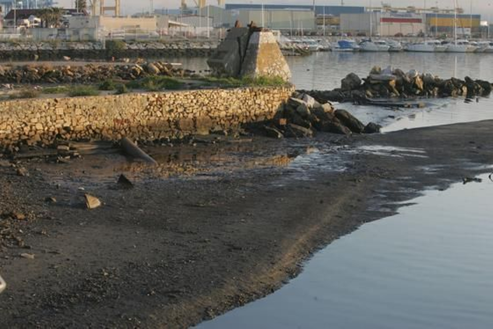 La marea histórica se vivió en las playas del Campo de Gibraltar con mucha espectación, sobre todo en la de Poniente de La Línea y El Rinconcillo de Algeciras./Fotos:Paco Guerrero/Shus Terán/J.M.Quiñones

Foto: Paco Guerrero/J.M.Q./Shus Teran/