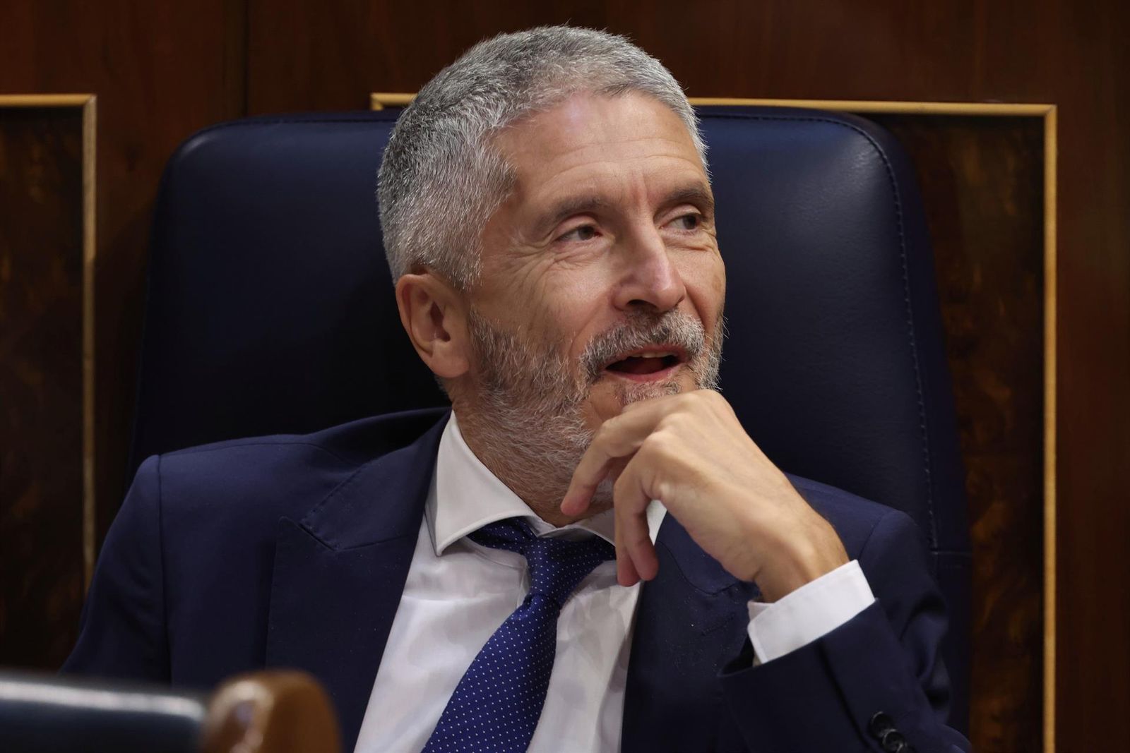 Fernando Grande-Marlaska.