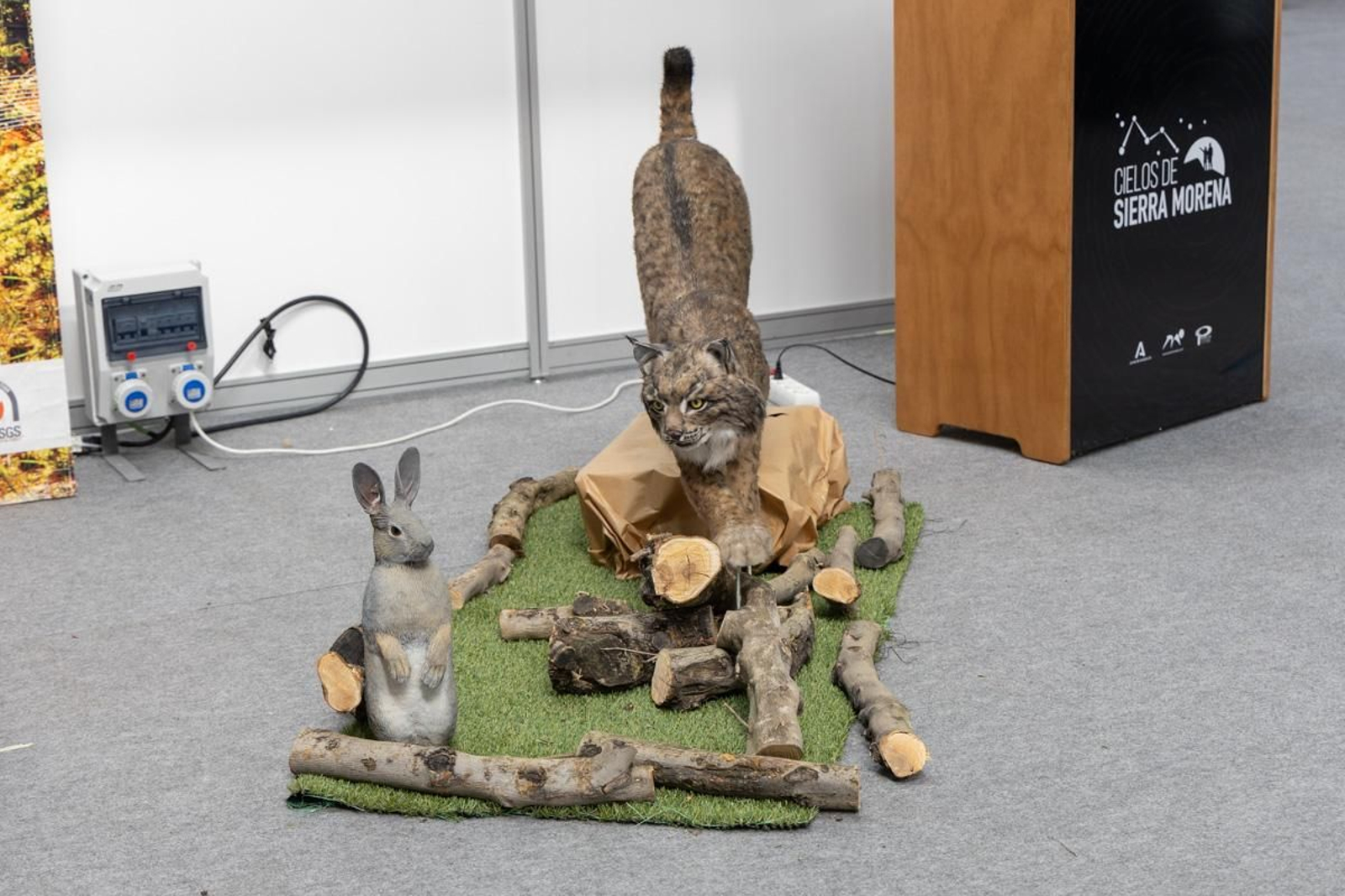 XXII Feria Internacional de Turismo, Deportes y Aventura de Andalucía, en imágenes