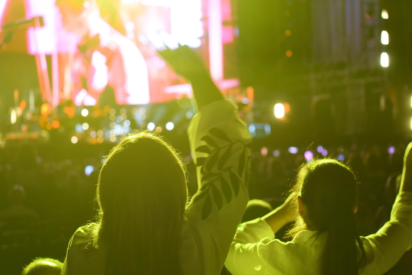 Concierto de Raphael en la plaza de toros de Córdoba