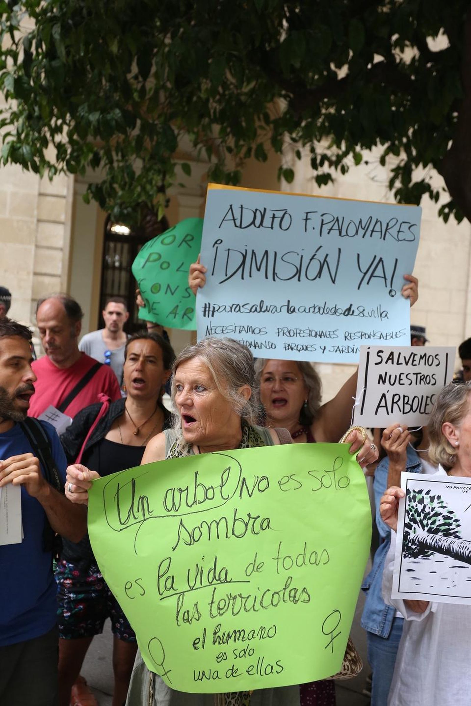Protesta en la Plaza Nueva contra la tala de árboles