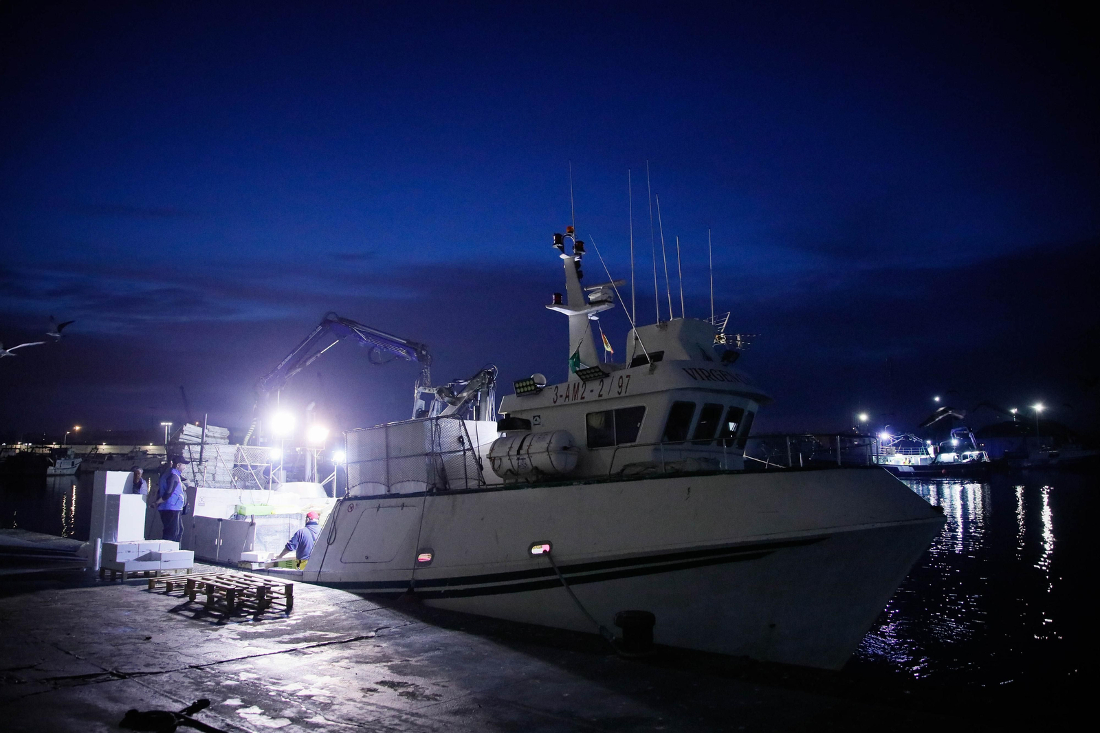 Te contamos en imágenes como ha sido la descarga de las traiñas en la lonja de Almería