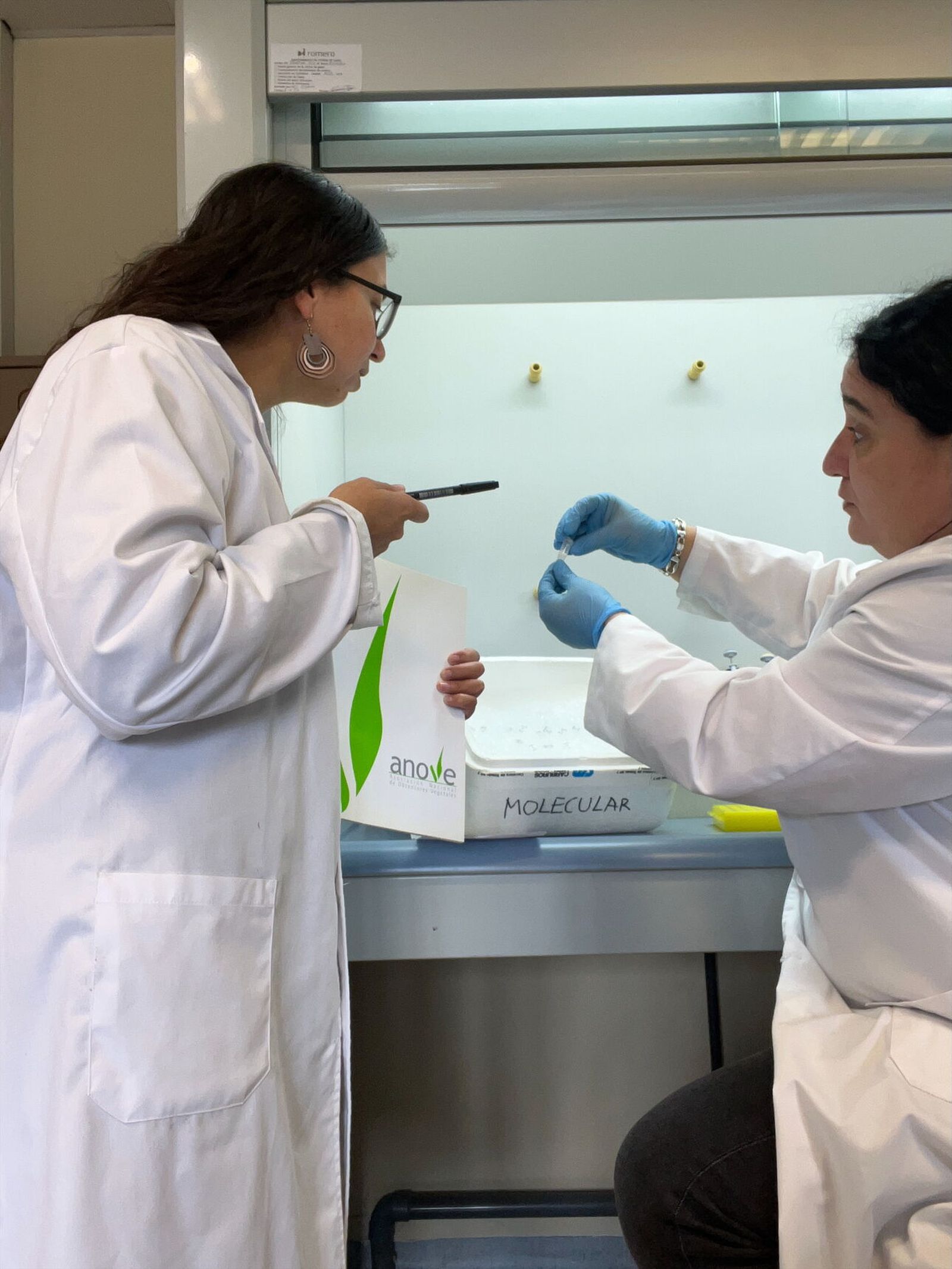 Las semillas constituyen el punto de partida de cualquier sistema de producción agrícola.