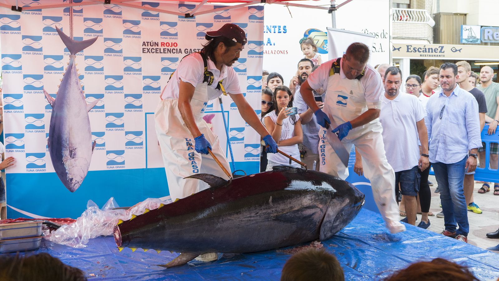 Varias personas se encargan del corte manual del atún rojo a través del ‘ronqueo’.