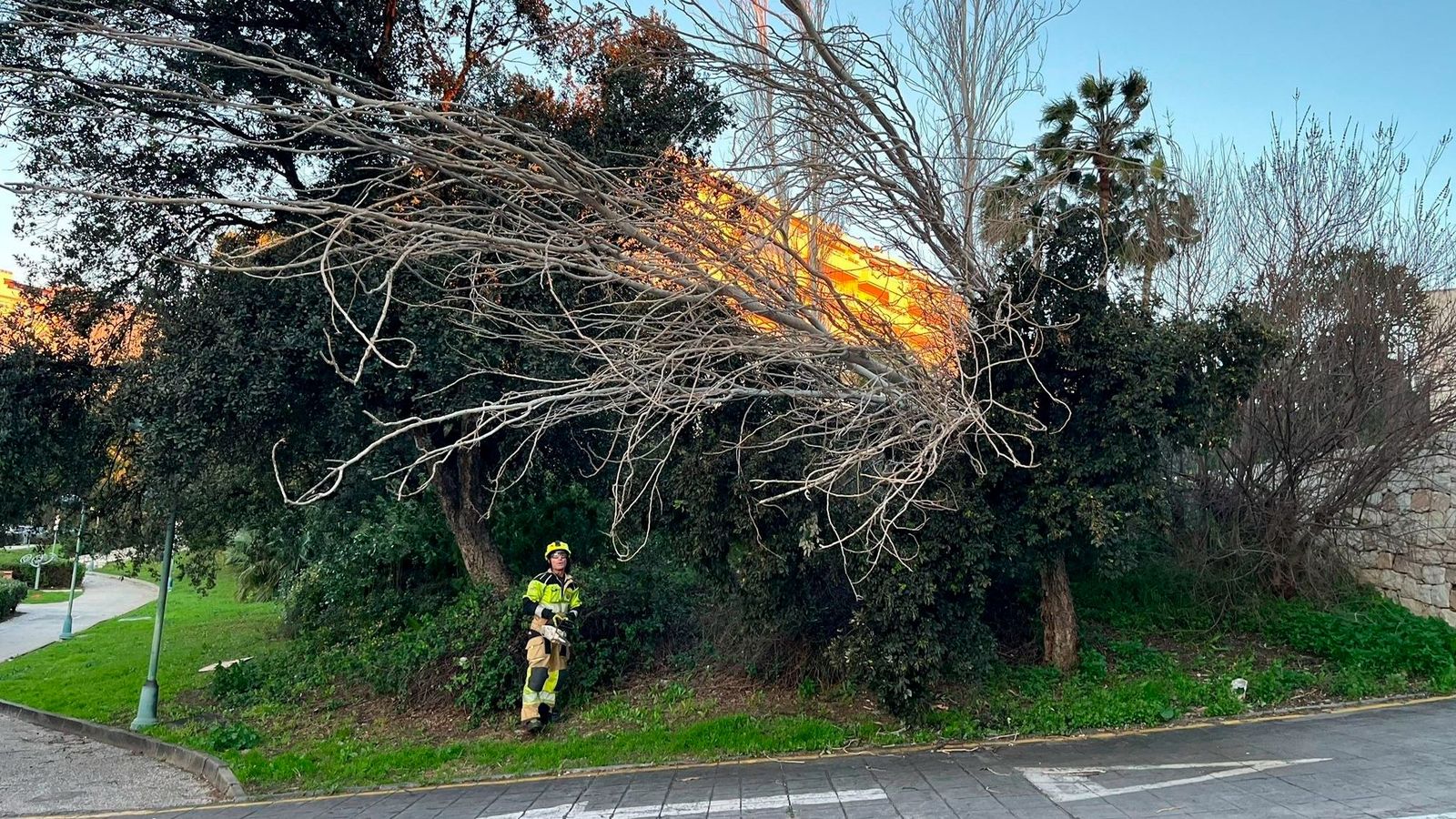 Benalmádena cierra de forma preventiva los parques por las fuertes rachas de viento