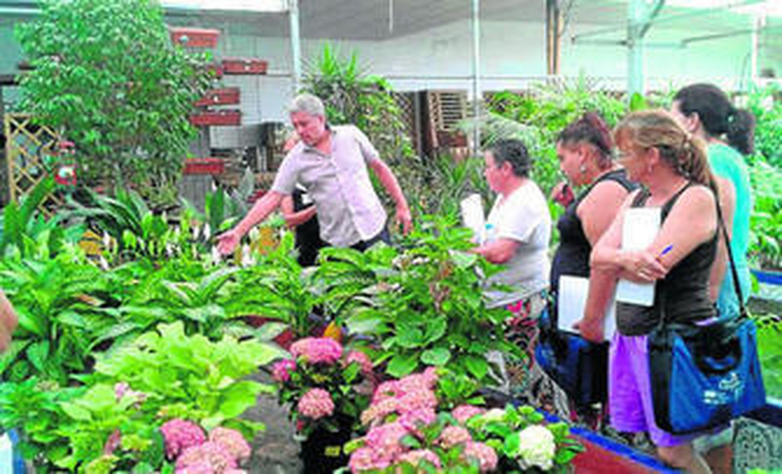 La jardinería es una de las ramas en las que se desarrolla el curso.