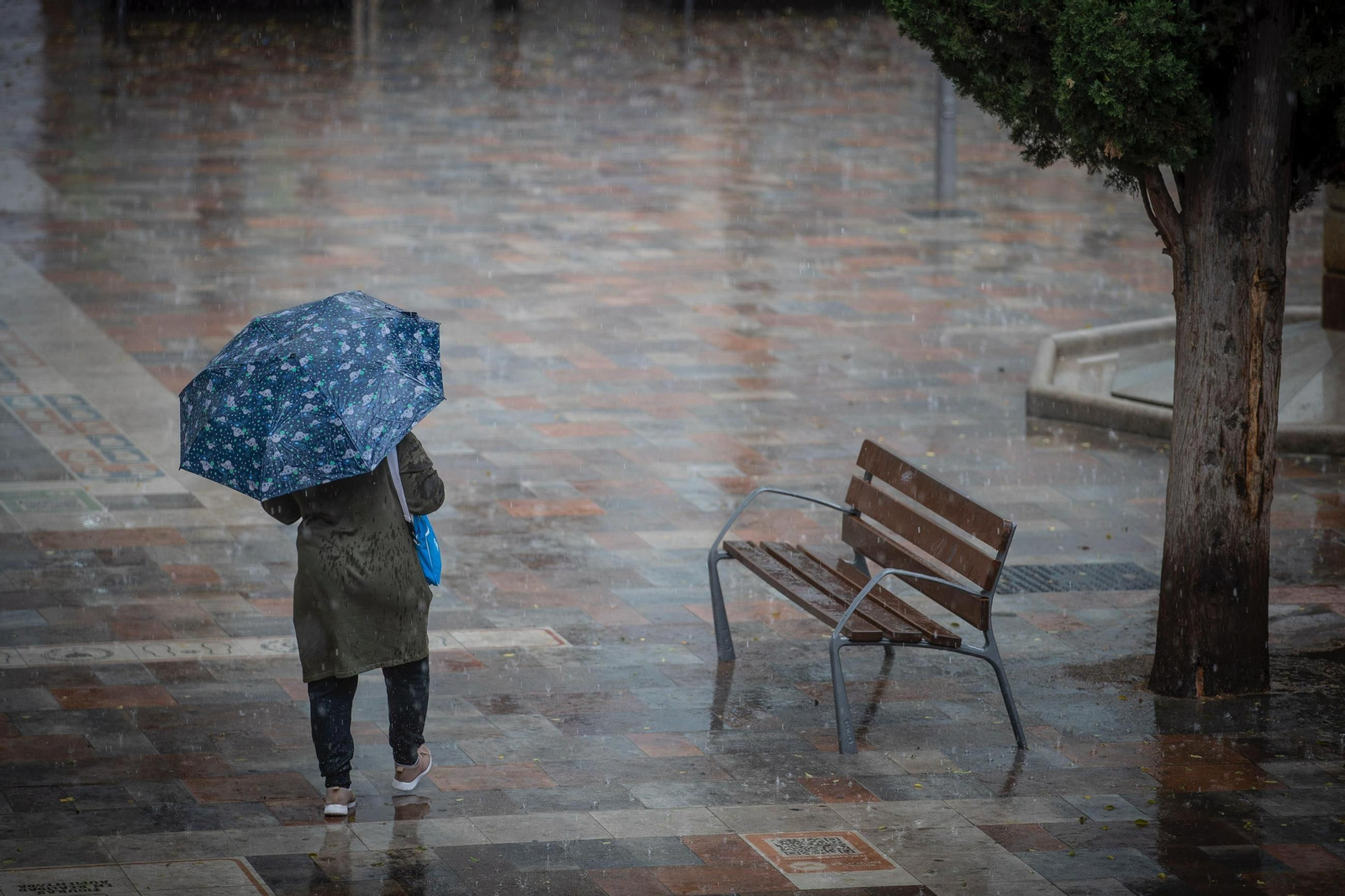 Una mujer pasea con paraguas en la capital.