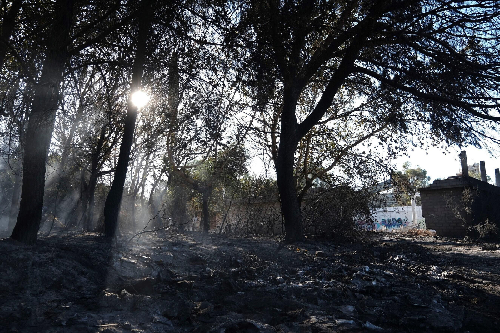 El día después del gran incendio de Chinales, en fotografías: rescoldos, humo y pérdidas El día después del gran incendio de Chinales, en fotografías: rescoldos, humo y pérdidas