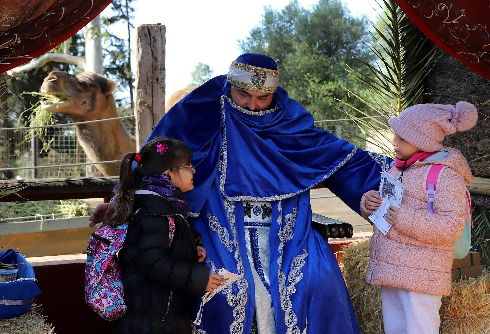 Recepción de ASAD en el Zoo. Recepción de ASAD en el Zoo.
