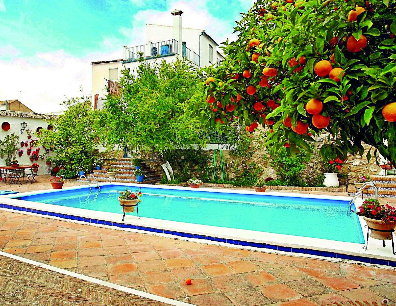 C/ Francisco Salto, 48. Rute