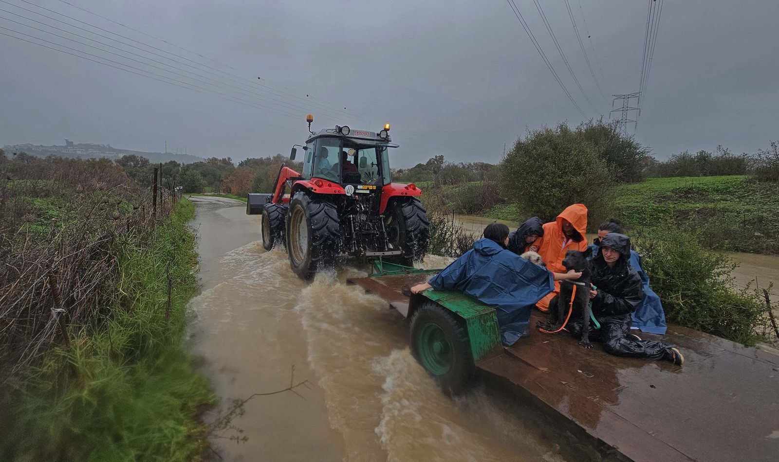 Se registraron más de 1.600 desalojos preventivos a principios de febrero, incluyendo otras localidades como Algeciras, San Roque y Los Barrios, debido al riesgo extremo de inundaciones y deslizamientos de terreno. Voluntarios de la protectora SOS Canay de Los Barrios evacuan a los animales en tractores por las inundaciones en la zona de Ringo Rango..
