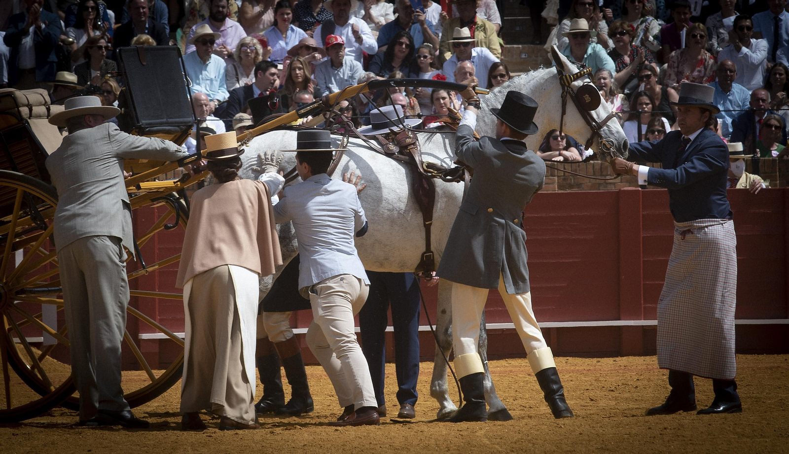 Las imágenes de la Exhibición de Enganches en la Maestranza