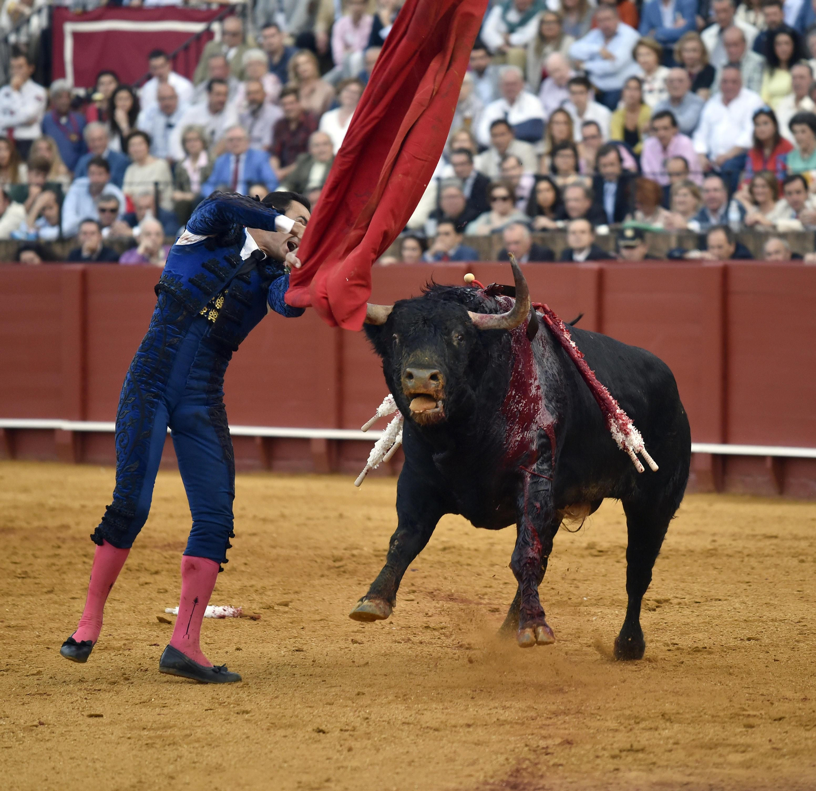 Las imágenes de la segunda de abono de la Maestranza