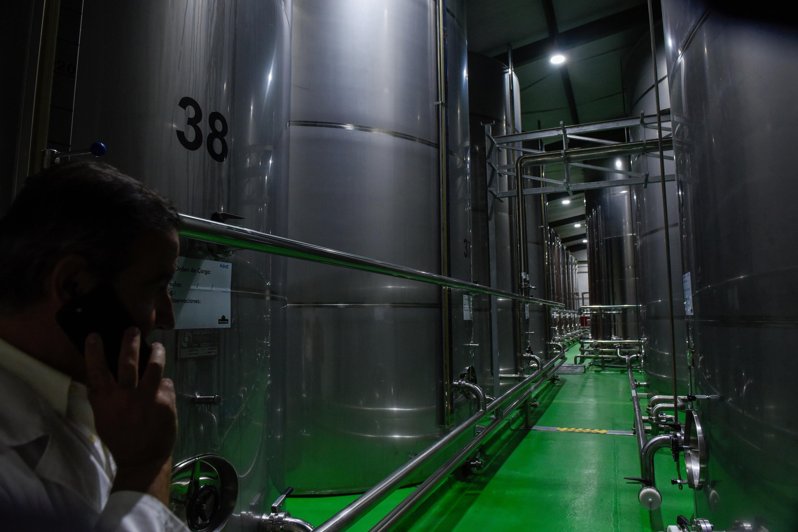 La sequía causa estragos en el olivar andaluz