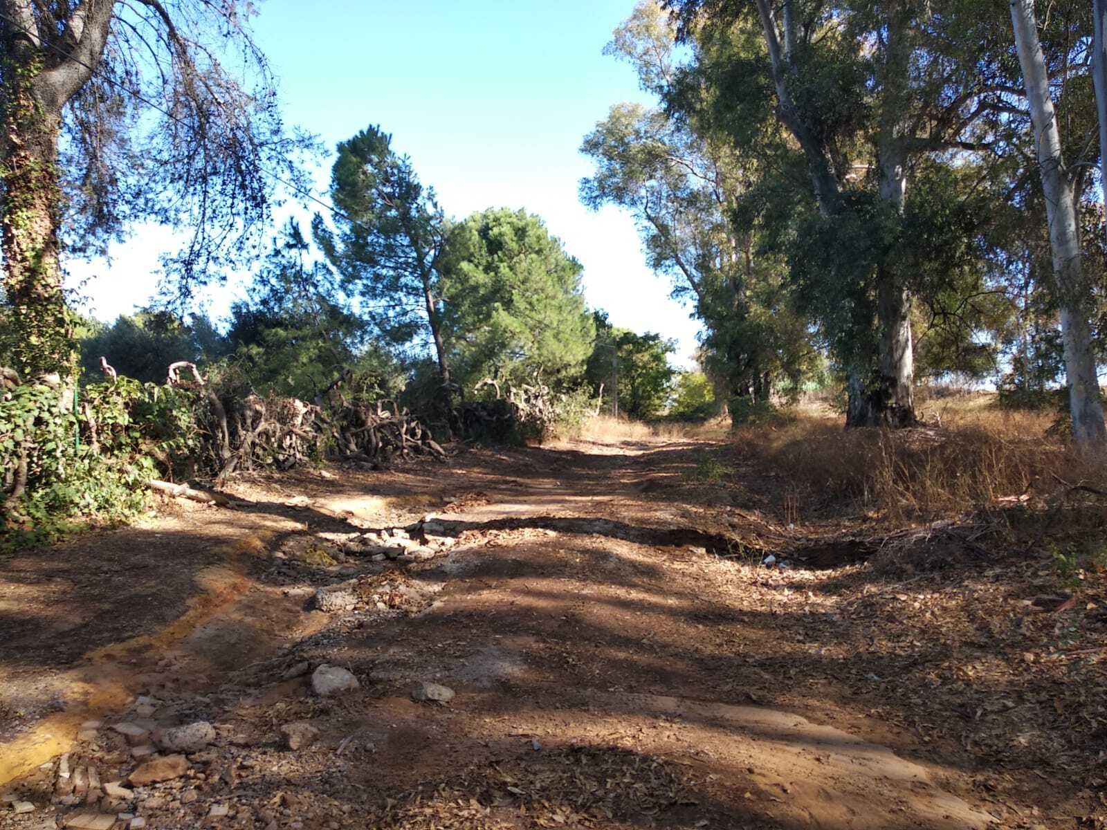 El conocido como Camino del Convento, de Carmona, uno e los que se beneficiarán de las inversiones.